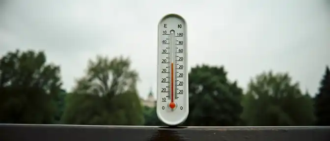 Жара в отпуске: метеорологи предсказывают временное похолодание в Москве