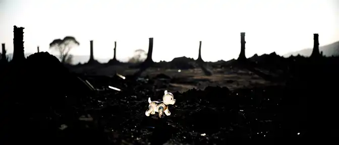 Пустые участки вместо роскоши: почему Малибу замерло после январского пожара